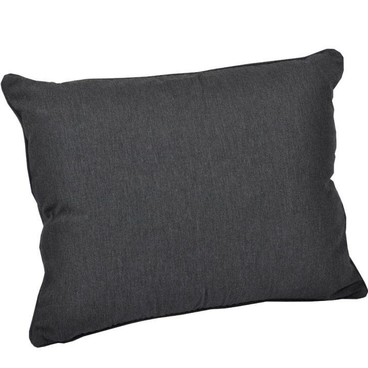 Royal Ryggdyna WR Bonnie - Skiffer