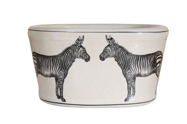 Zebra Kruka, Oval