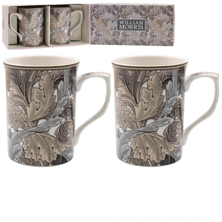 Acanthus Muggar, 2 - Pack