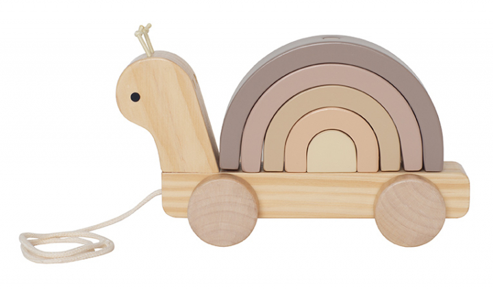 Dragsnigel Med Regnbåge