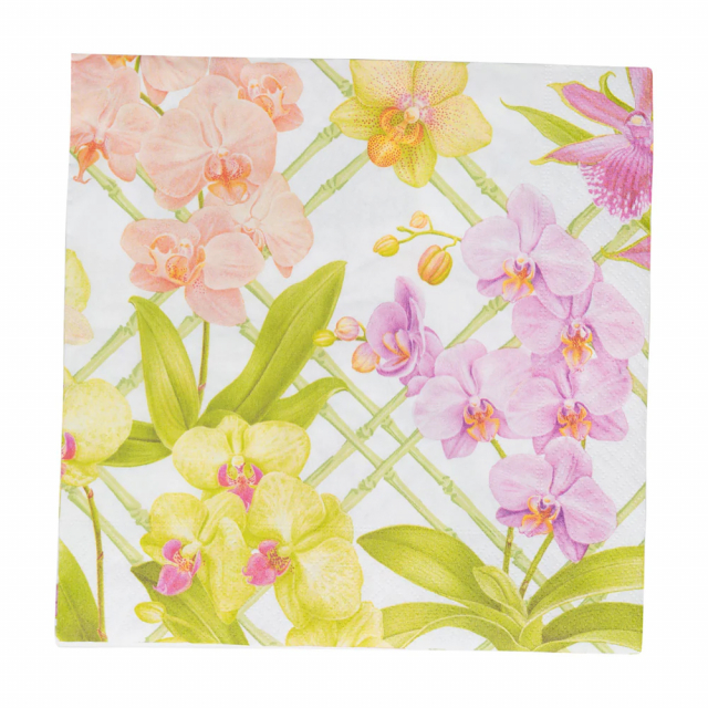 Orchid conservatory servetter, 20-pack