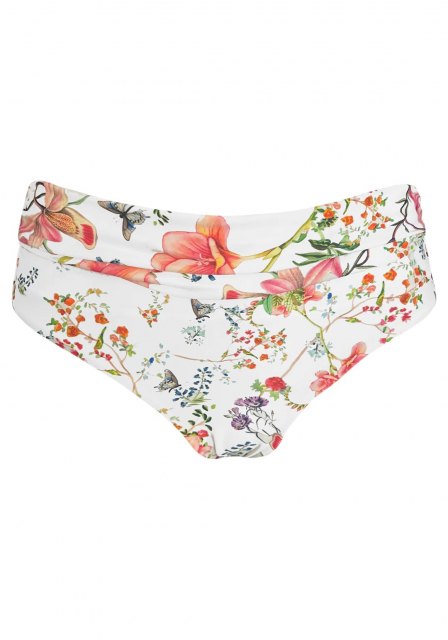 Butterfly bikinitrosa - multi
