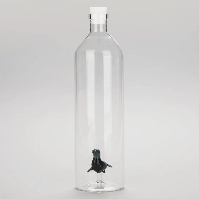 Atlantis flaska - gråsäl