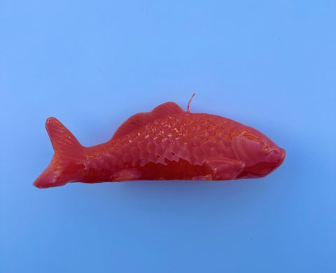 Lackerat fiskljus - grapefruit