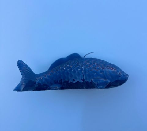 Lackerat fiskljus - cornflower
