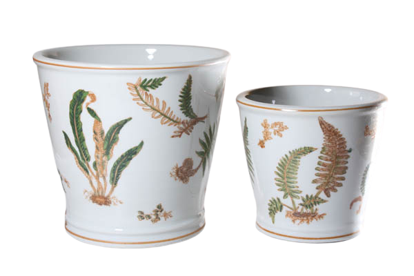 Kruka, finns i 2 storlekar - Ormbunke