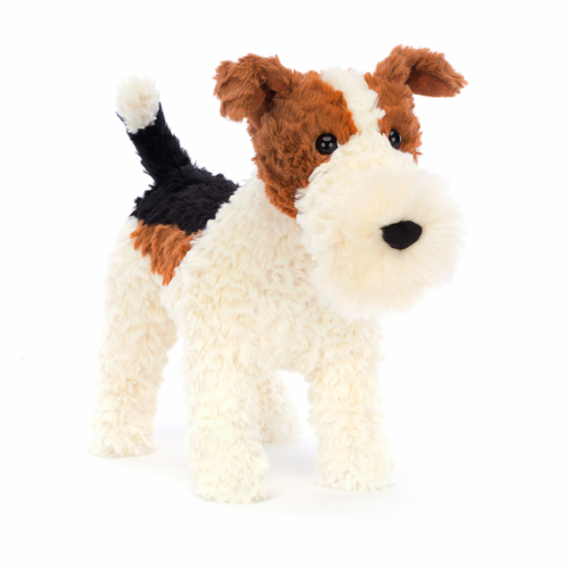Hector Fox terrier - vit/brun/svart