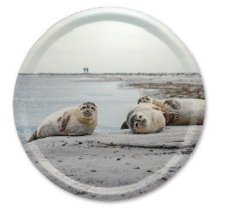 Måkläppens Naturreservat bricka Ø 38 cm