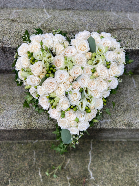 Hjärta begravning, mellan - vit