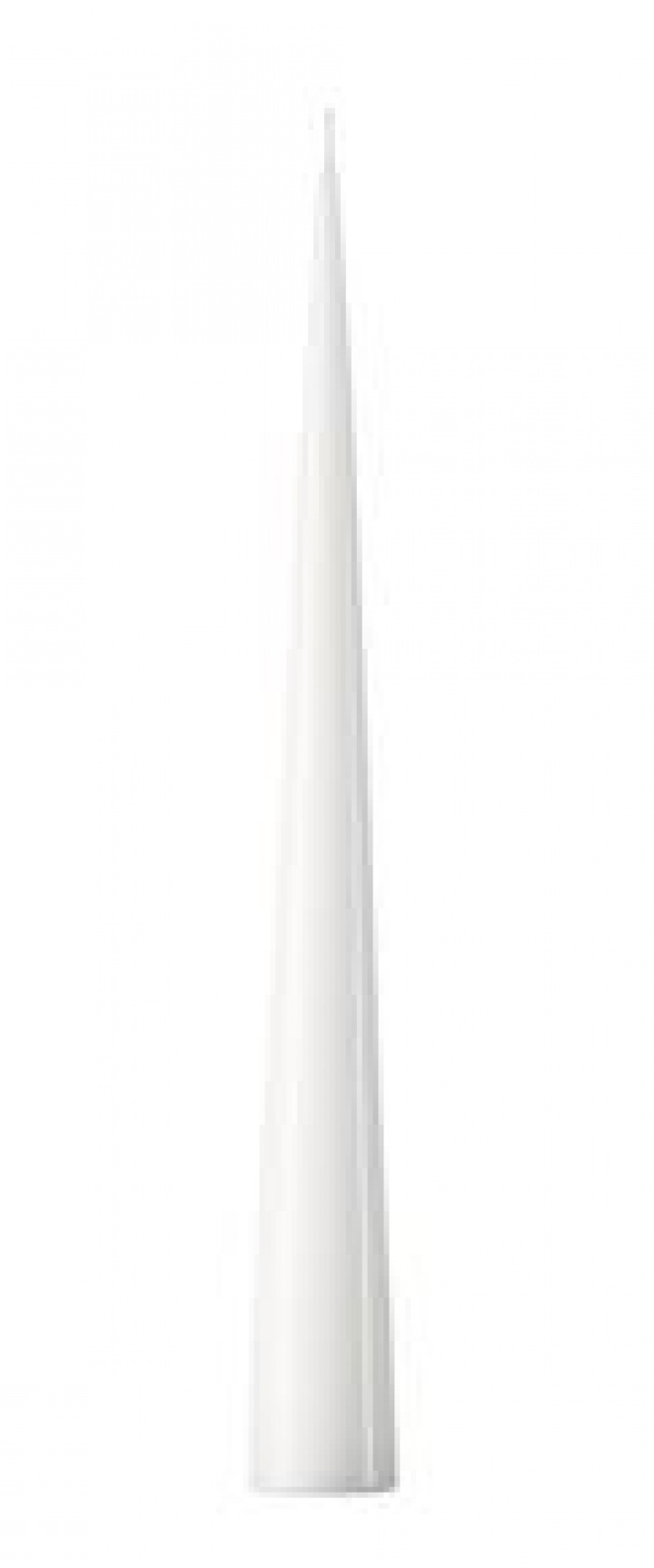 Lackade konljus 37 cm - white i gruppen Inredning / Dekoration / Ljus hos Sommarboden i Höllviken AB (03016-31-0-white)