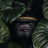Monkey face kruka, liten - svart