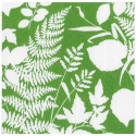 Green Modern Fern servetter, 20-pack