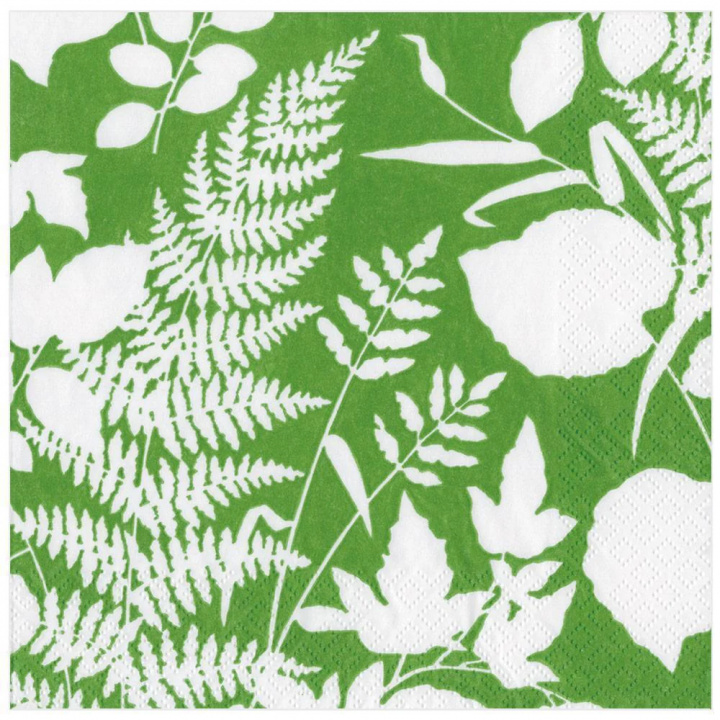 Green Modern Fern servetter, 20-pack i gruppen Inredning / Kök & Dukning / Servering & Servetter hos Sommarboden i Höllviken AB (15220D)