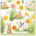 Bunnies & Daffodils servetter, 20-pack