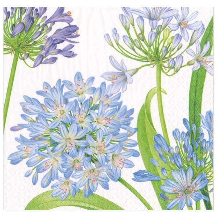 Agapanthus Garden servetter, 20-pack i gruppen Inredning / Kök & Dukning / Servering & Servetter hos Sommarboden i Höllviken AB (16920D)