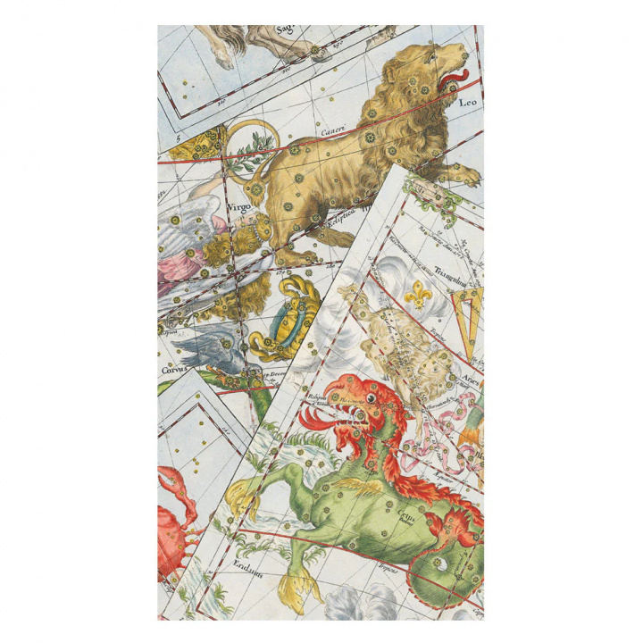 Zodiac servetter, 15-pack i gruppen Inredning / Kök & Dukning / Servering & Servetter hos Sommarboden i Höllviken AB (18840G)