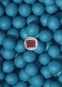Lakrids Blue Raspberry, regular