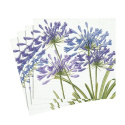 Agapanthus servetter, 20-pack