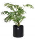 Grow odlingslåda liten - lava grey/light grey