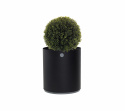 Grow odlingslåda mellan - lava grey/light grey