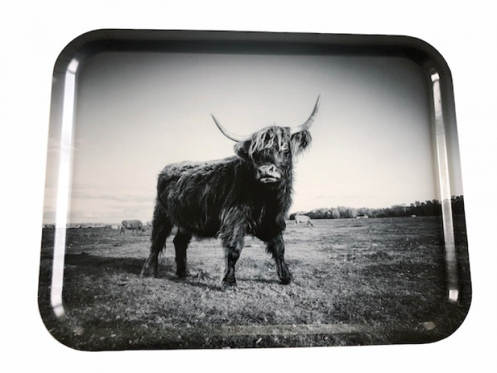 Bricka Kor 27x20 cm i gruppen hos Sommarboden i Höllviken AB (BrickaKor27x20cm)