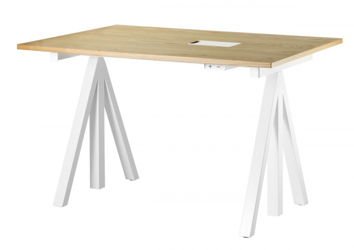 String skrivbordsskiva 120x78 cm - ek i gruppen Inredning / Dekoration / Hyllor & Förvaring hos Sommarboden i Höllviken AB (DT12078-05-1)