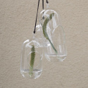 Hanging glass ampel medium