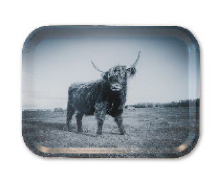 Highland Cattle bricka 27 x 20 cm i gruppen Inredning / Kök & Dukning / Brickor & Grytunderlägg hos Sommarboden i Höllviken AB (HC2720)