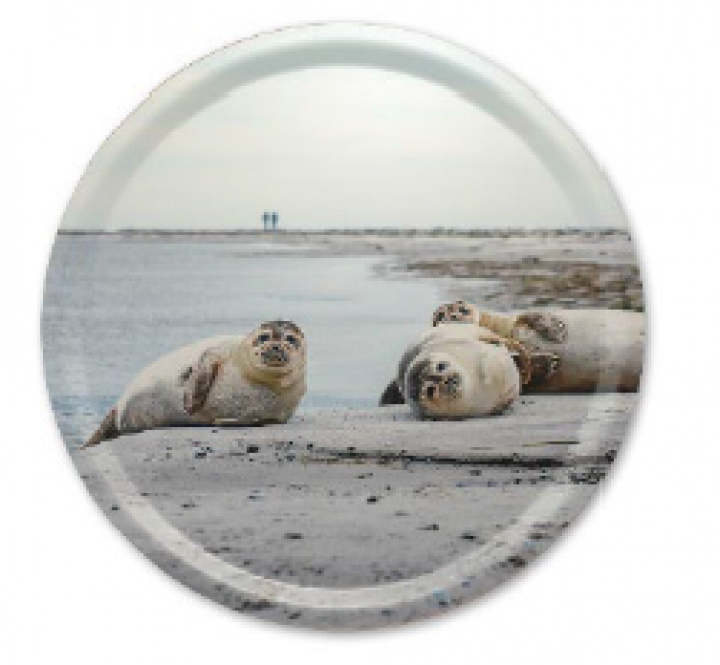 Måkläppens Naturreservat bricka Ø 38 cm i gruppen Inredning / Kök & Dukning / Brickor & Grytunderlägg hos Sommarboden i Höllviken AB (MELI_02_R_38)