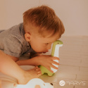 Mary\'s Dinosaur LED nattlampa