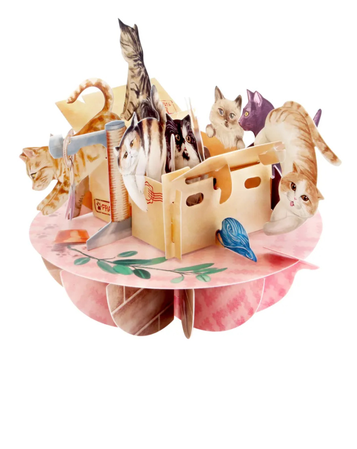 Purrrfect Parcel piruett-kort i gruppen Presenter / Present till barn hos Sommarboden i Höllviken AB (SAPS088)